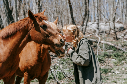 Exploring the Open Plains: The Incredible Benefits of Horse Riding Trips